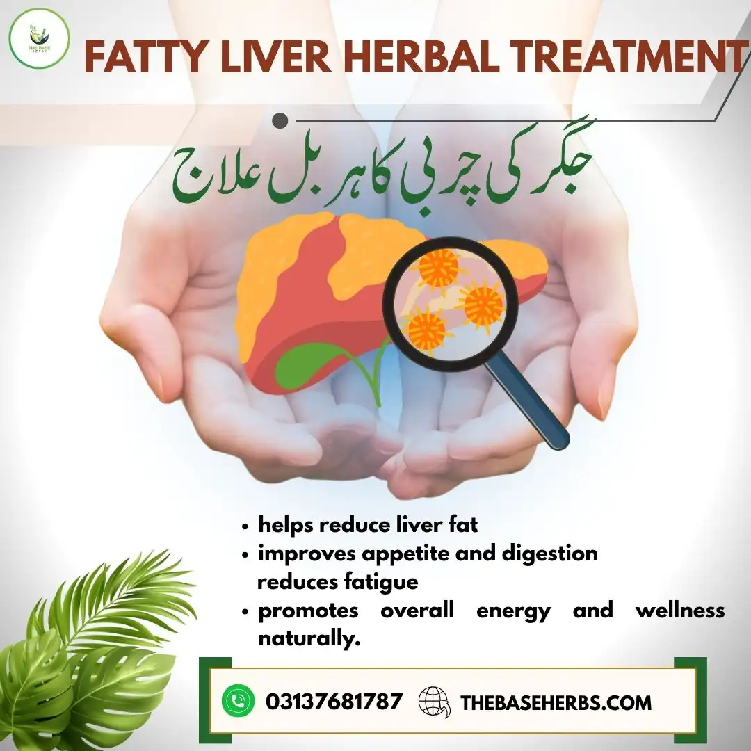 جگر کی چربی کا ہربل علاج